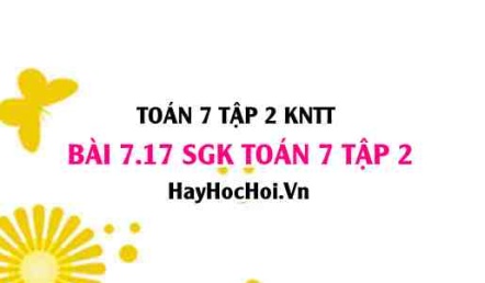 Bài 7.17 SGK Toán 7 tập 2 Kết nối tri thức